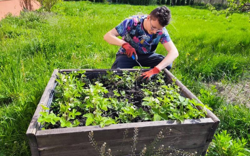 494252110_1190551033025320_2150605294424942872_n